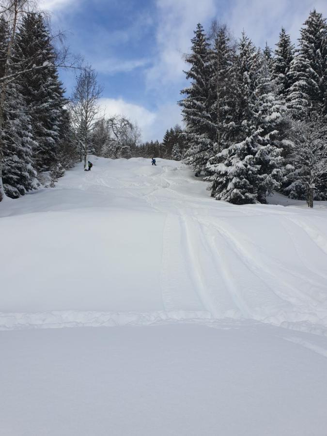 Chalet Chapeau Rar Castel Condino Exteriör bild