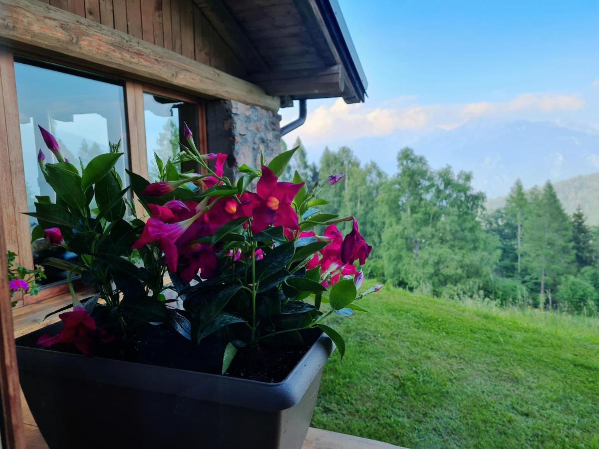 Chalet Chapeau Rar Castel Condino Exteriör bild